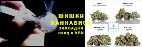 дмт Нея