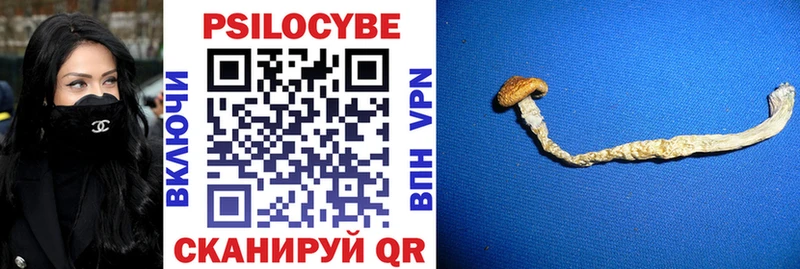 Псилоцибиновые грибы ЛСД Чистополь