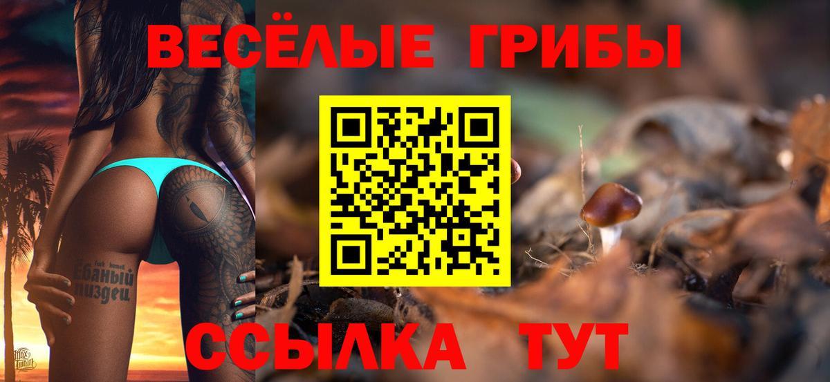 Псилоцибиновые грибы ЛСД Чистополь
