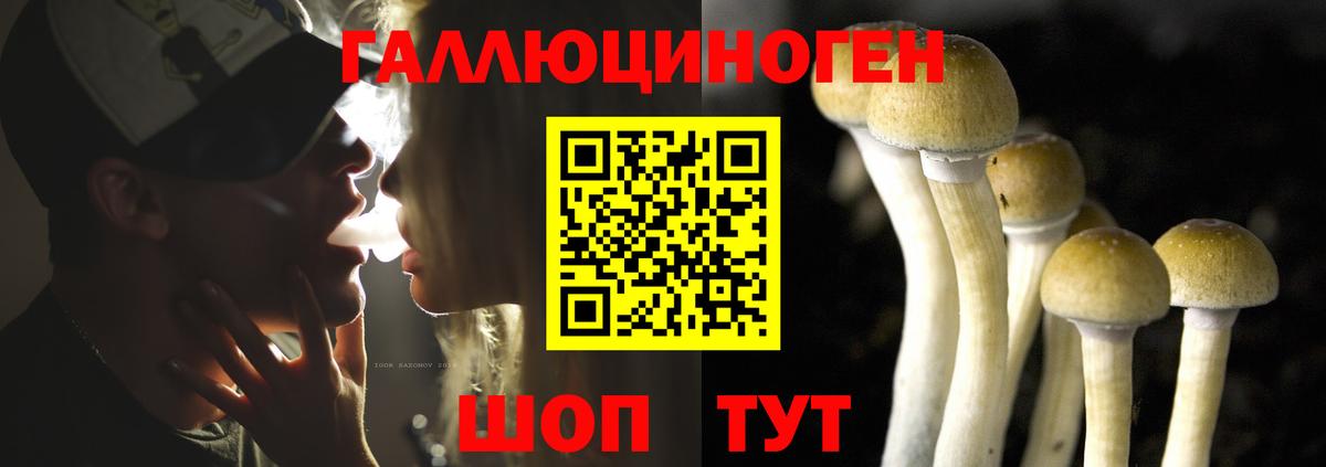 Псилоцибиновые грибы мицелий  Псилоцибиновые грибы Magic Shrooms  Вход с VPN  Чистополь 
